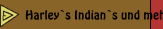 Harley`s Indian`s und mehr 